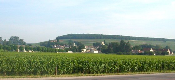 Along RN 74 in Burgundy.JPG